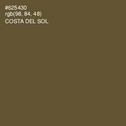 #625430 - Costa Del Sol Color Image